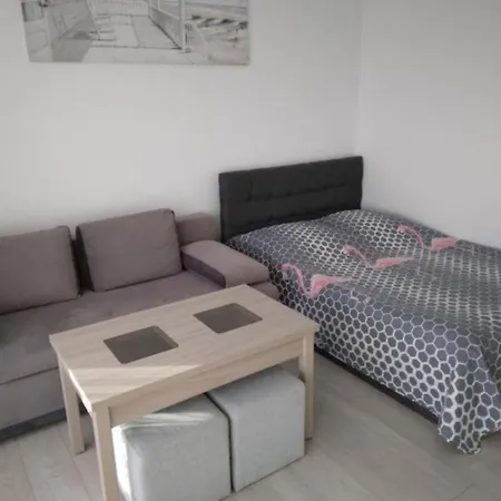 Flamingo 4 Miedzyzdroje